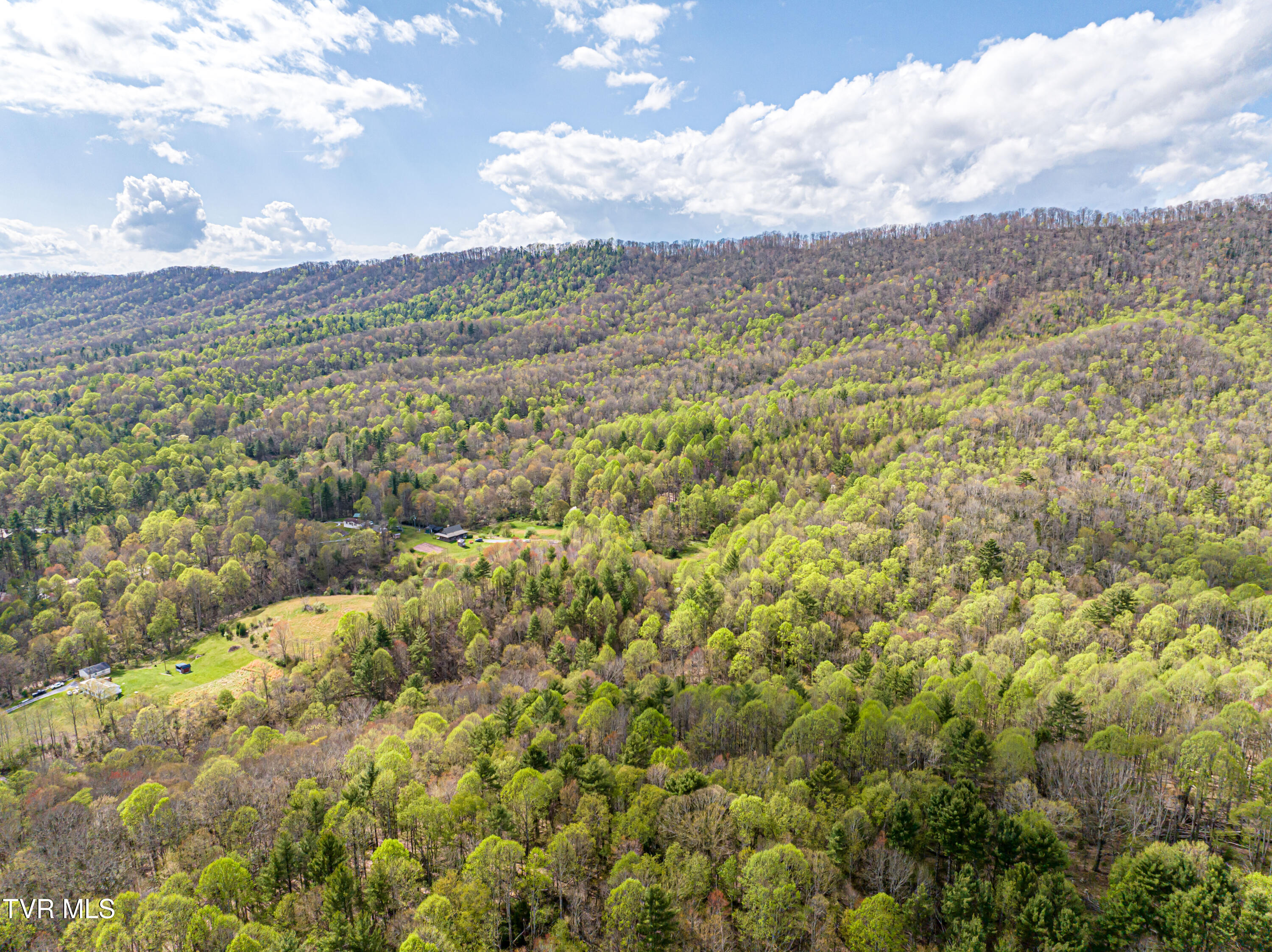 513 Beadwood Lane, Damascus, Virginia image 32