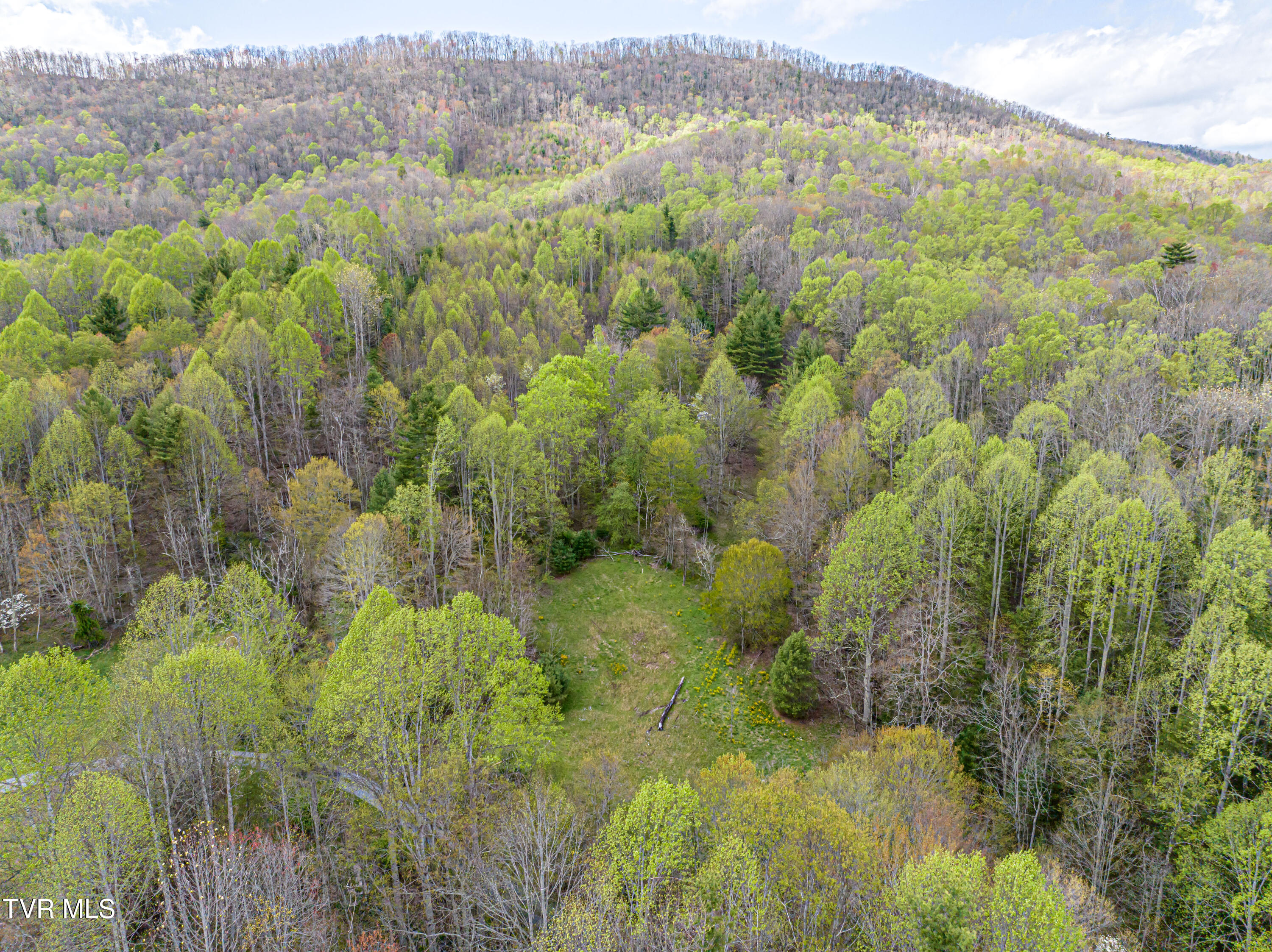 513 Beadwood Lane, Damascus, Virginia image 26