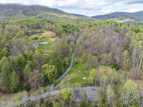 Vacant Land For Sale - 513 Beadwood Lane<br/> Damascus, VA 24236