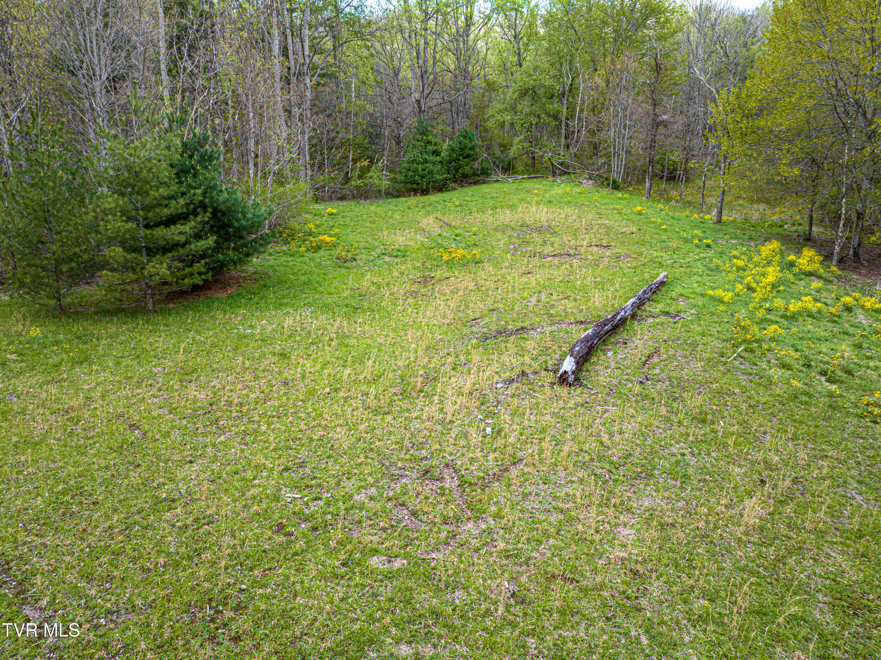 513 Beadwood Lane, Damascus, Virginia image 21