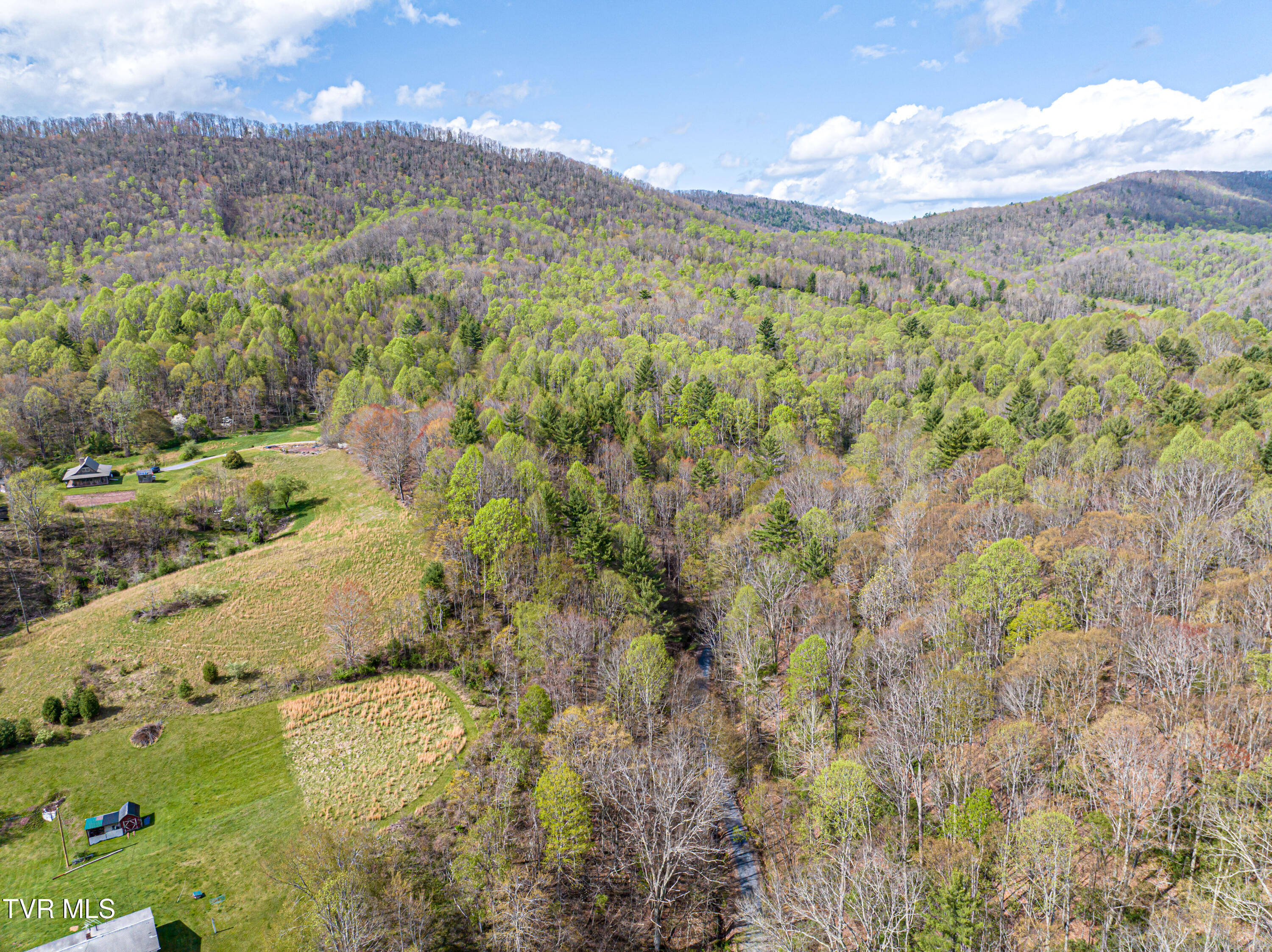 513 Beadwood Lane, Damascus, Virginia image 16