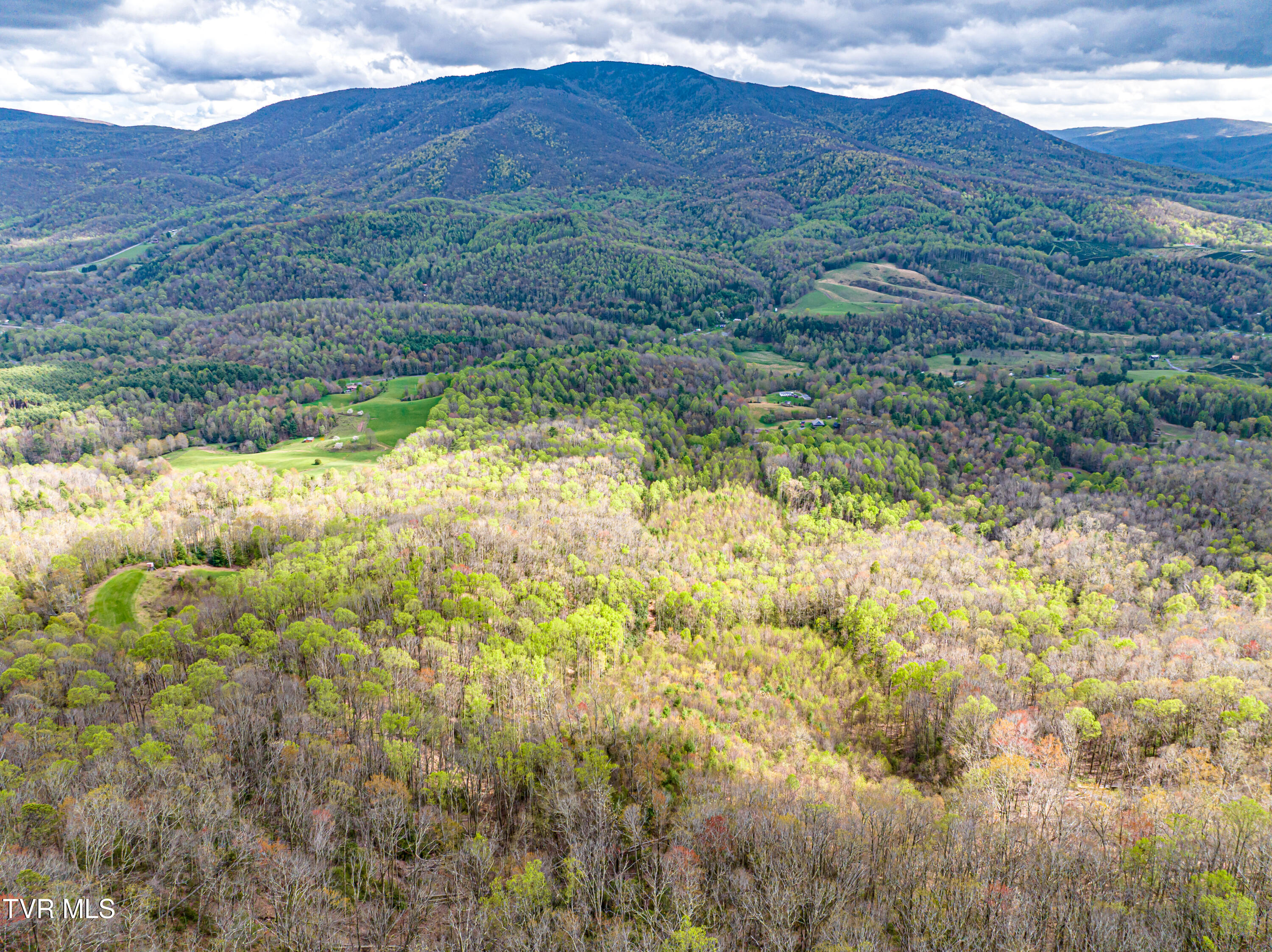 513 Beadwood Lane, Damascus, Virginia image 28
