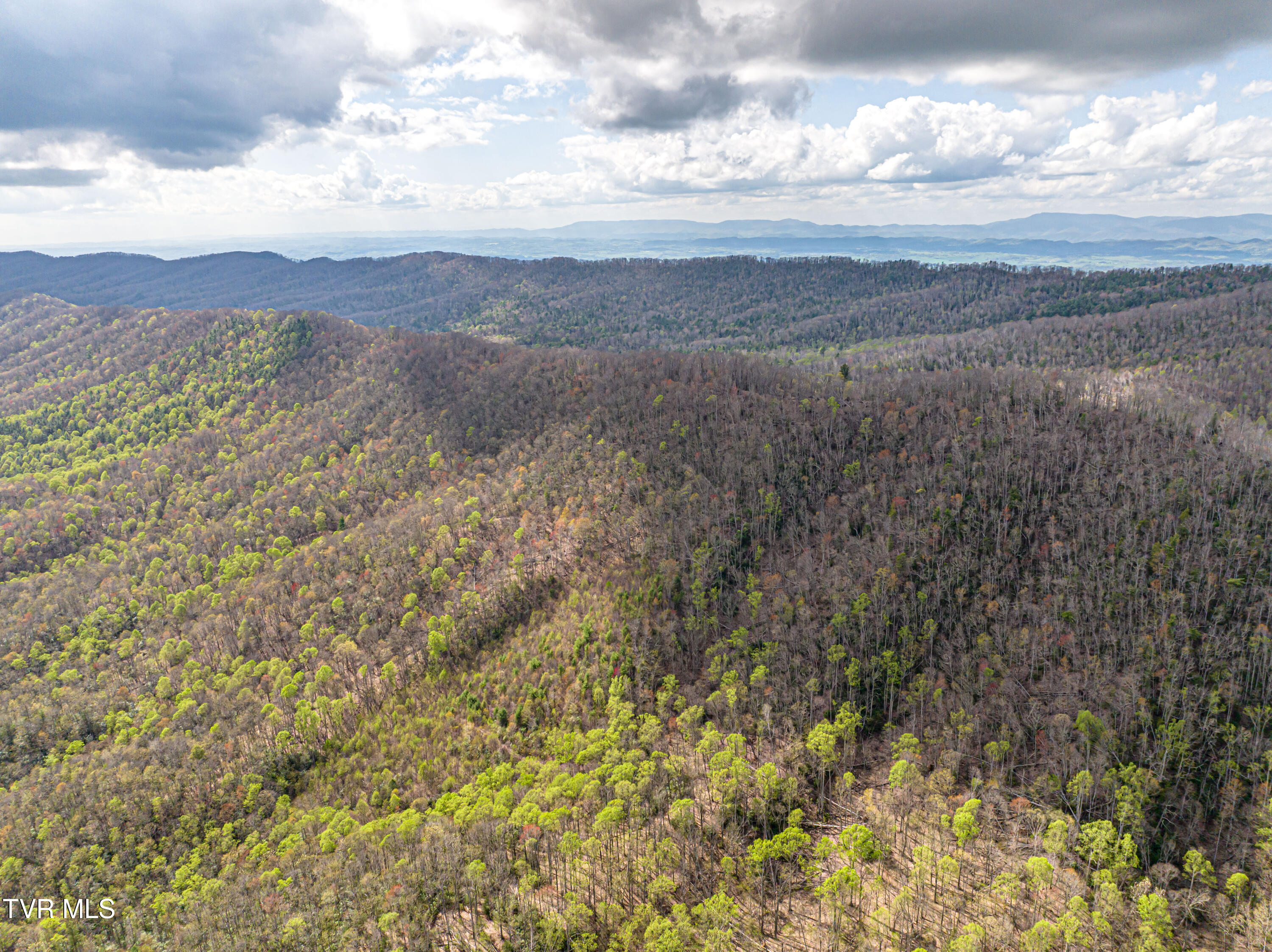 513 Beadwood Lane, Damascus, Virginia image 33