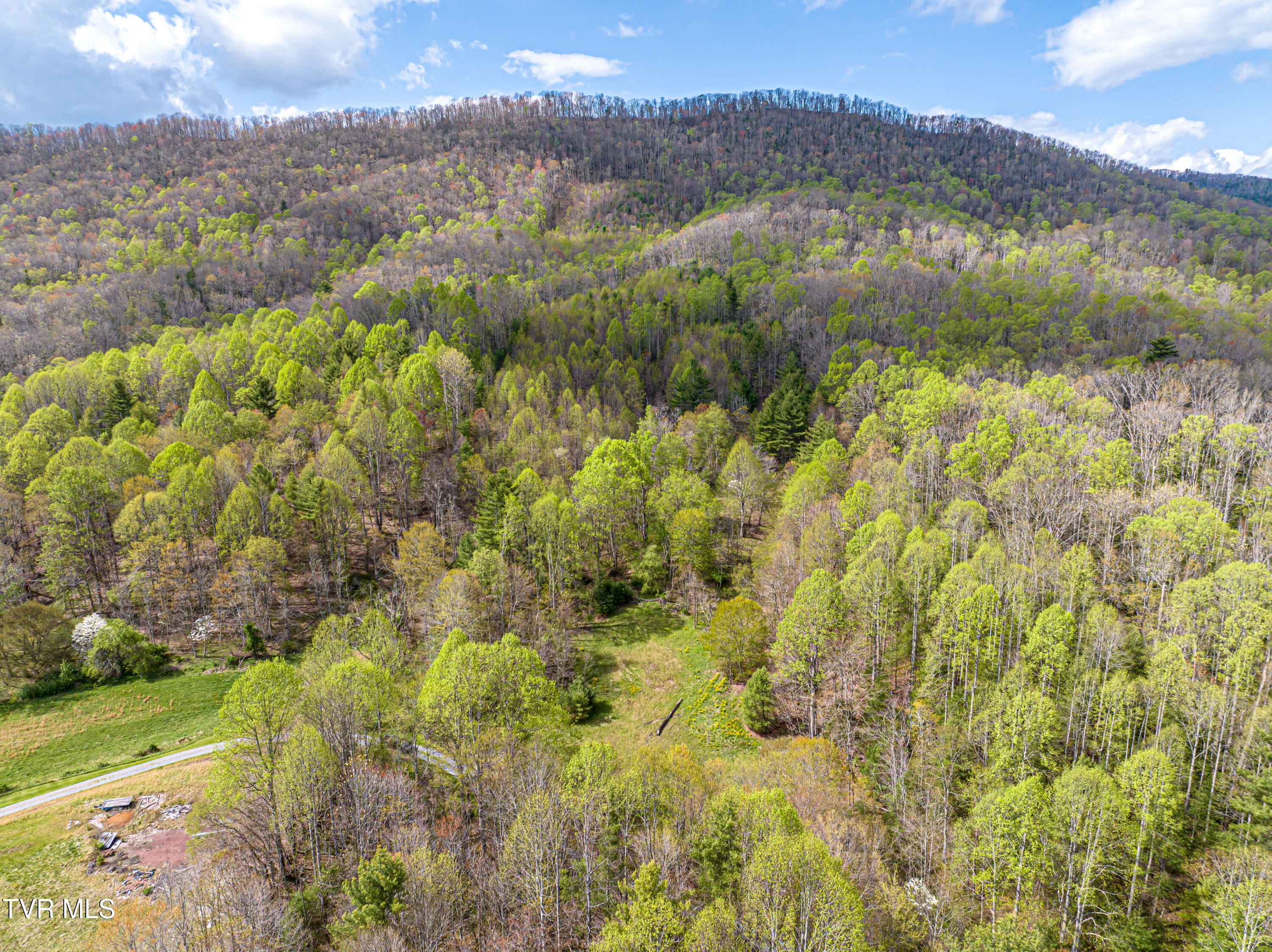 513 Beadwood Lane, Damascus, Virginia image 24