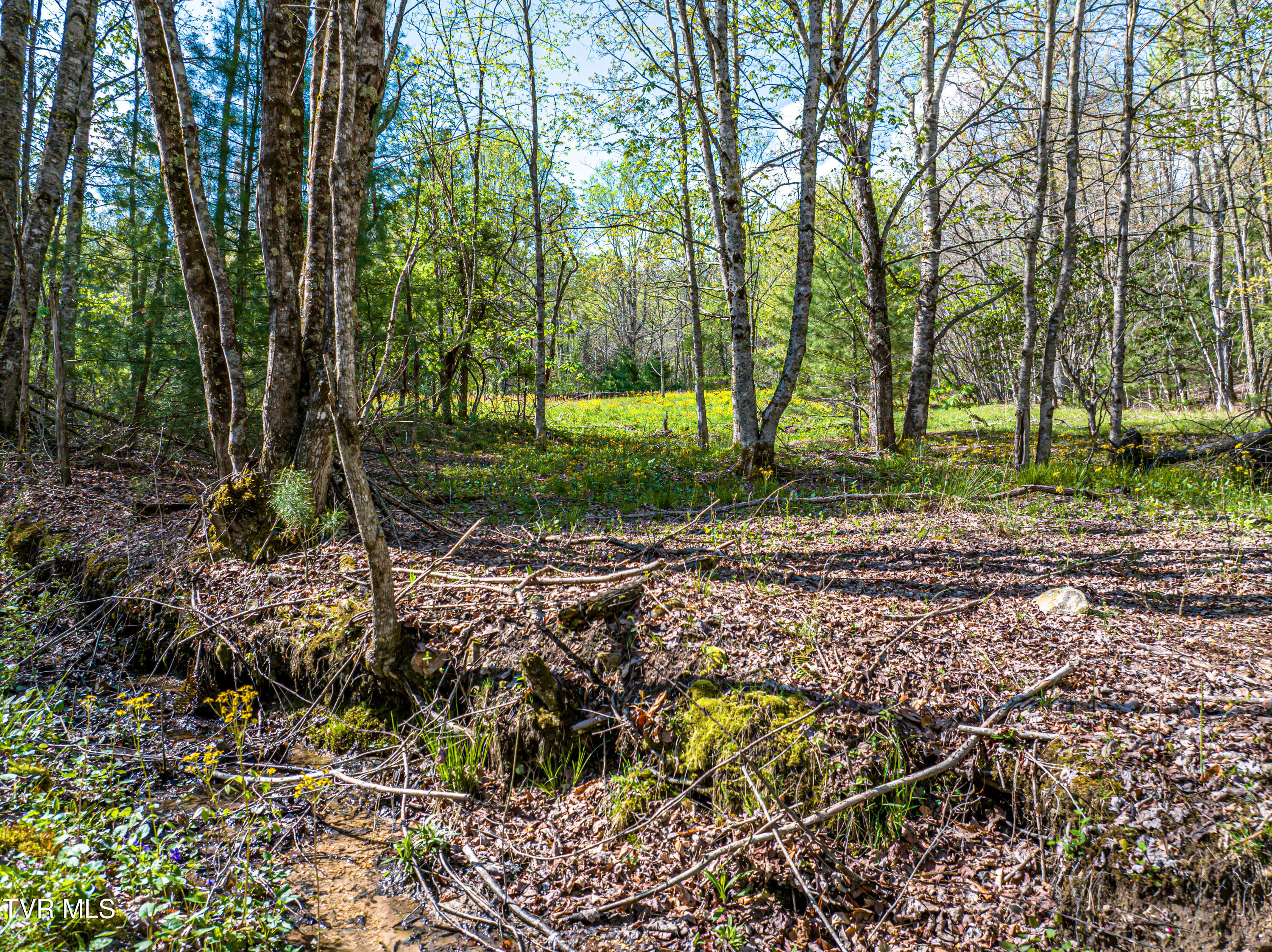 513 Beadwood Lane, Damascus, Virginia image 41