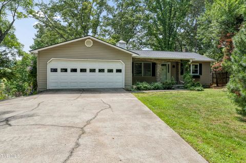 Photo of 236 Lakeshore Circle, Rogersville, TN 37857 (MLS # 9995747)