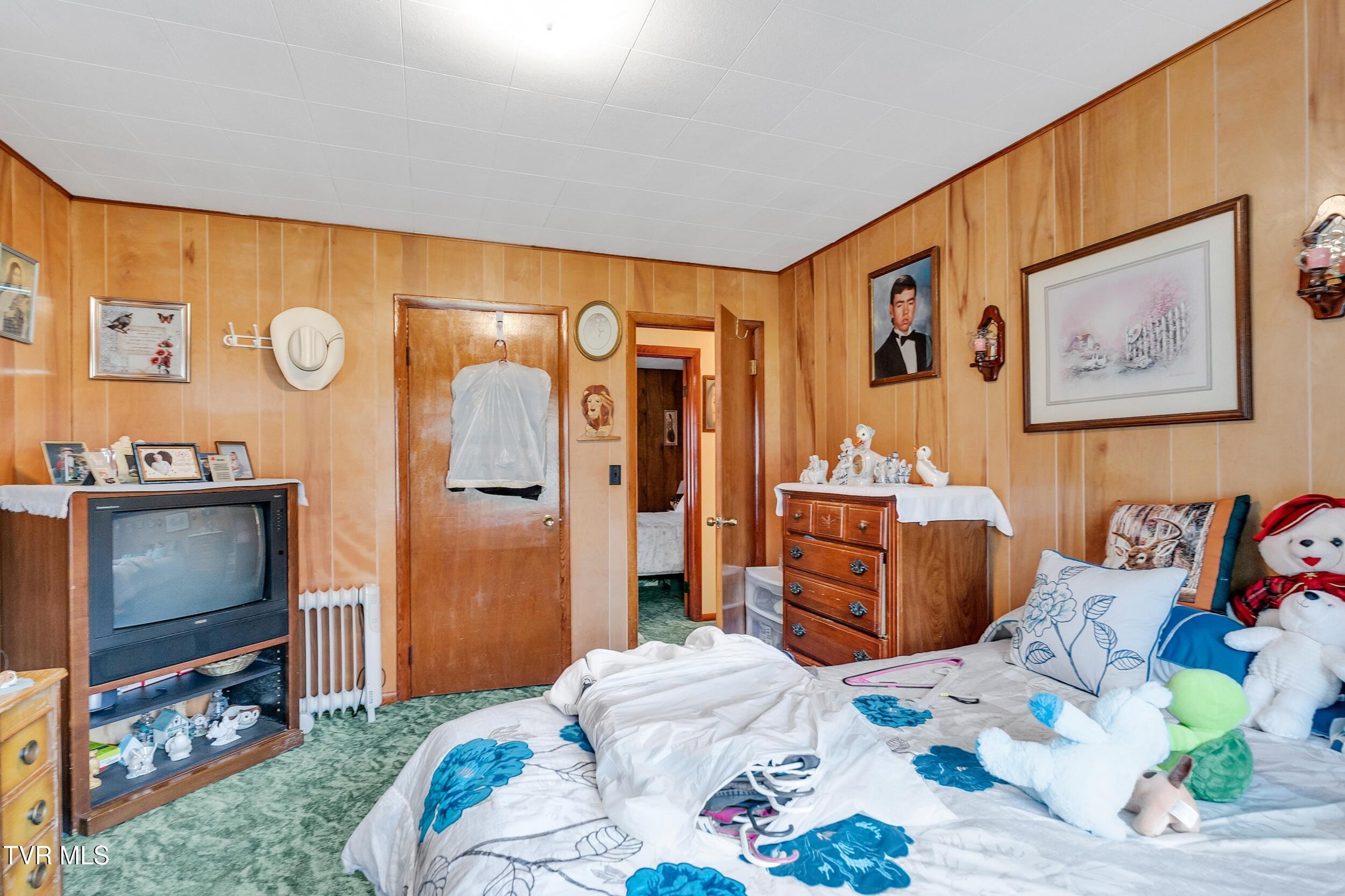1095 Stonebruise Road, Lebanon, Virginia image 21
