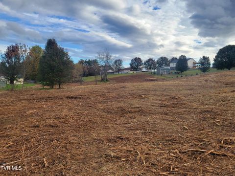 Vacant Land For Sale - 1212 Bowmantown Road<br/> Limestone, TN 37681