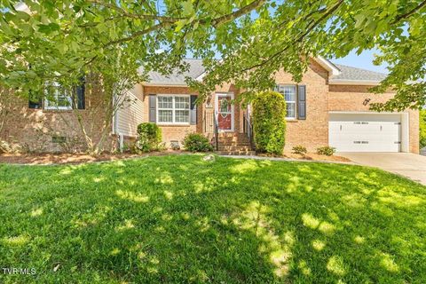 Photo of 531 Sweetgrass Lane, Jonesborough, TN 37659 (MLS # 9995575)