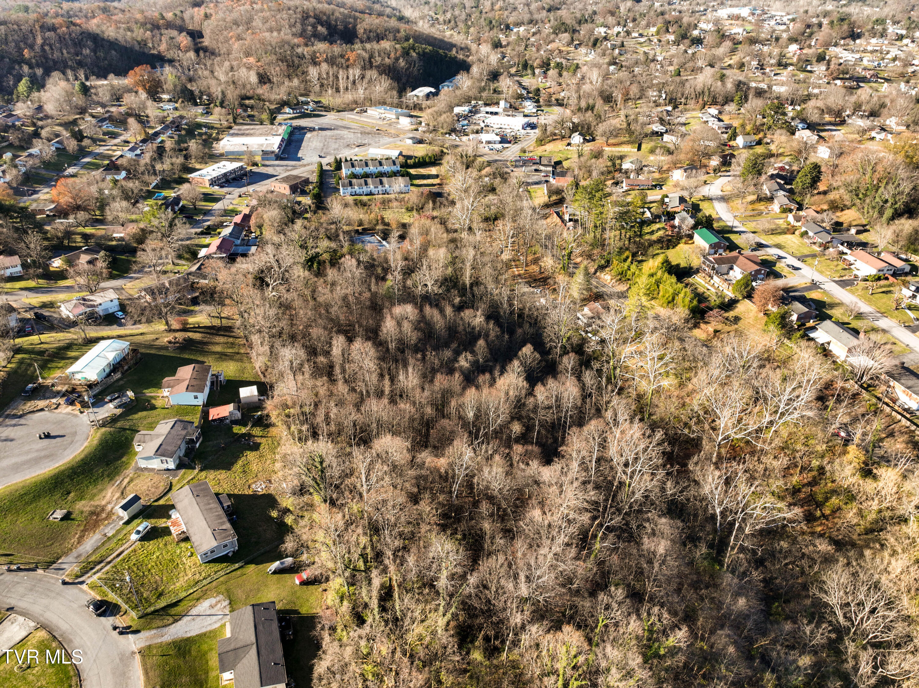 Tbd Weaver / Belmont Pike, Bristol, Tennessee image 10