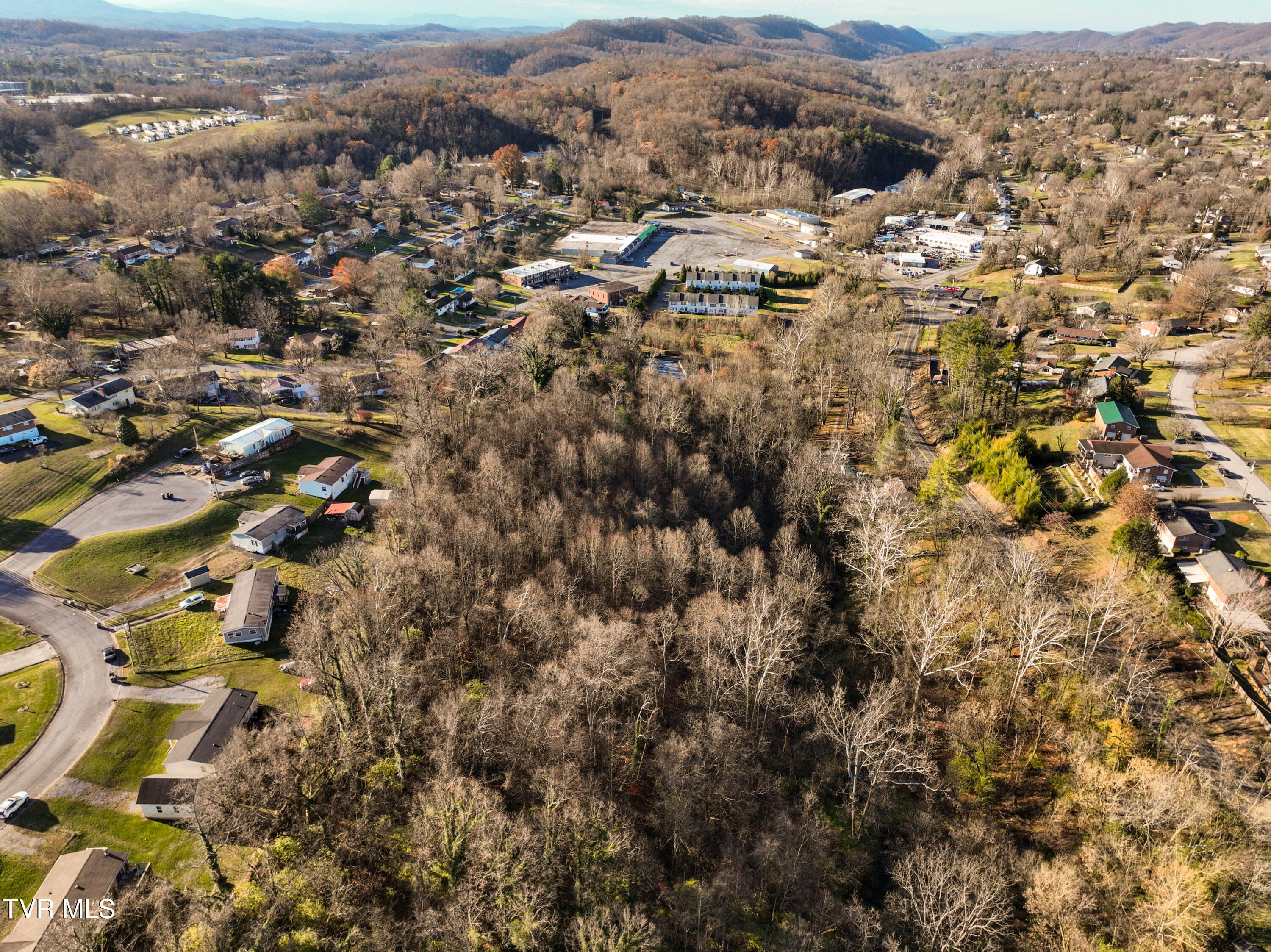 Tbd Weaver / Belmont Pike, Bristol, Tennessee image 11