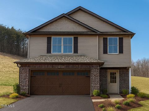 Photo of 614 Cherry Marie Drive, Jonesborough, TN 37659 (MLS # 9989137)