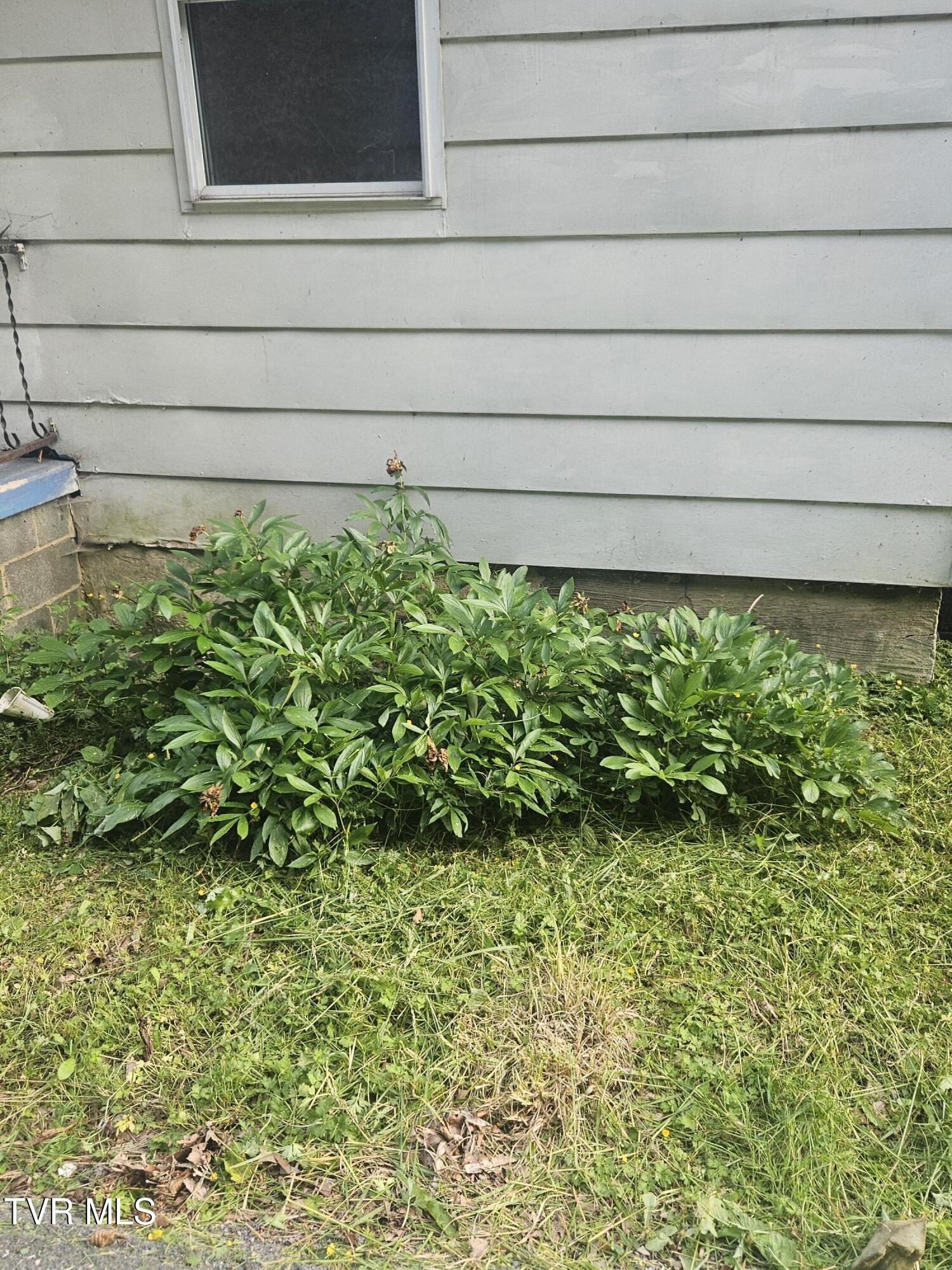 360 Lower Bear Wallow Road Road, Dante, Virginia image 22