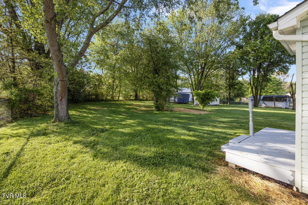 614 Spruce Street, Johnson City, Tennessee image 31