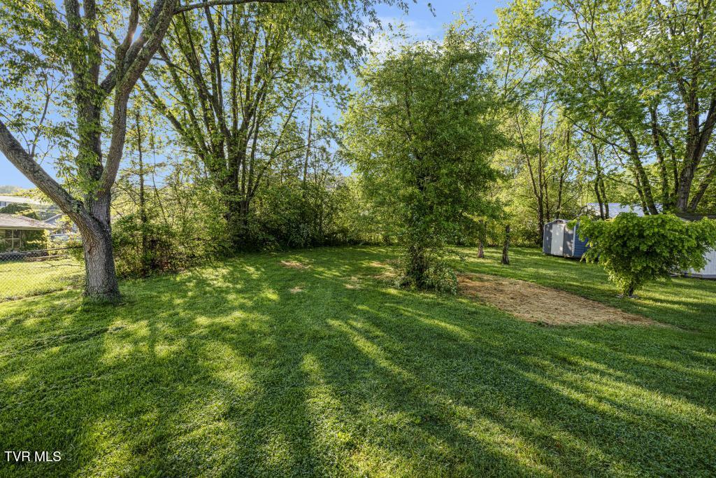 614 Spruce Street, Johnson City, Tennessee image 29