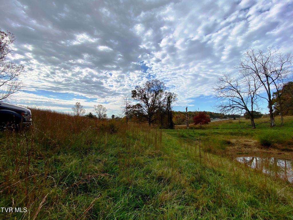Photo of Tbd Sr-1 Highway, Surgoinsville, TN 37873 (MLS # 9994114)