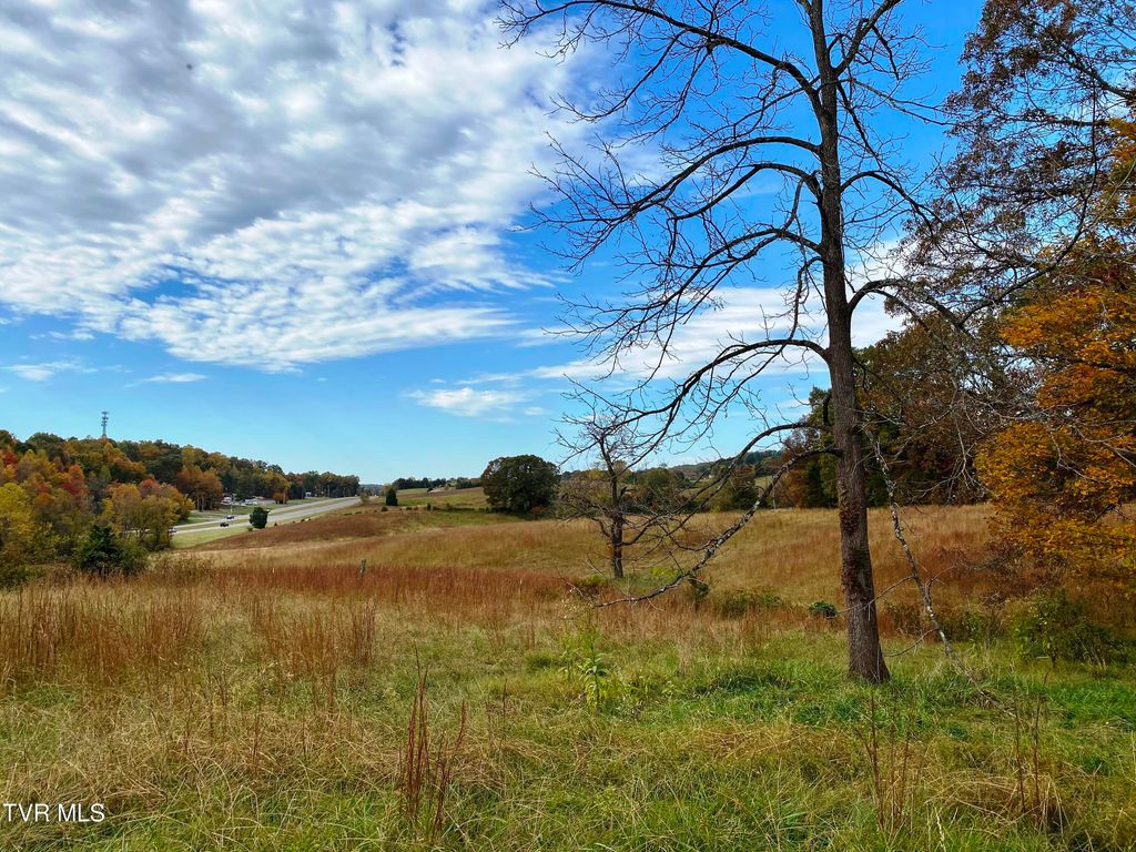 Photo of Tbd Sr-1 Highway, Surgoinsville, TN 37873 (MLS # 9994114)