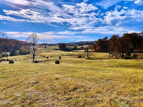 Vacant Land For Sale - TBD Sr-1 Highway<br/> Surgoinsville, TN 37873