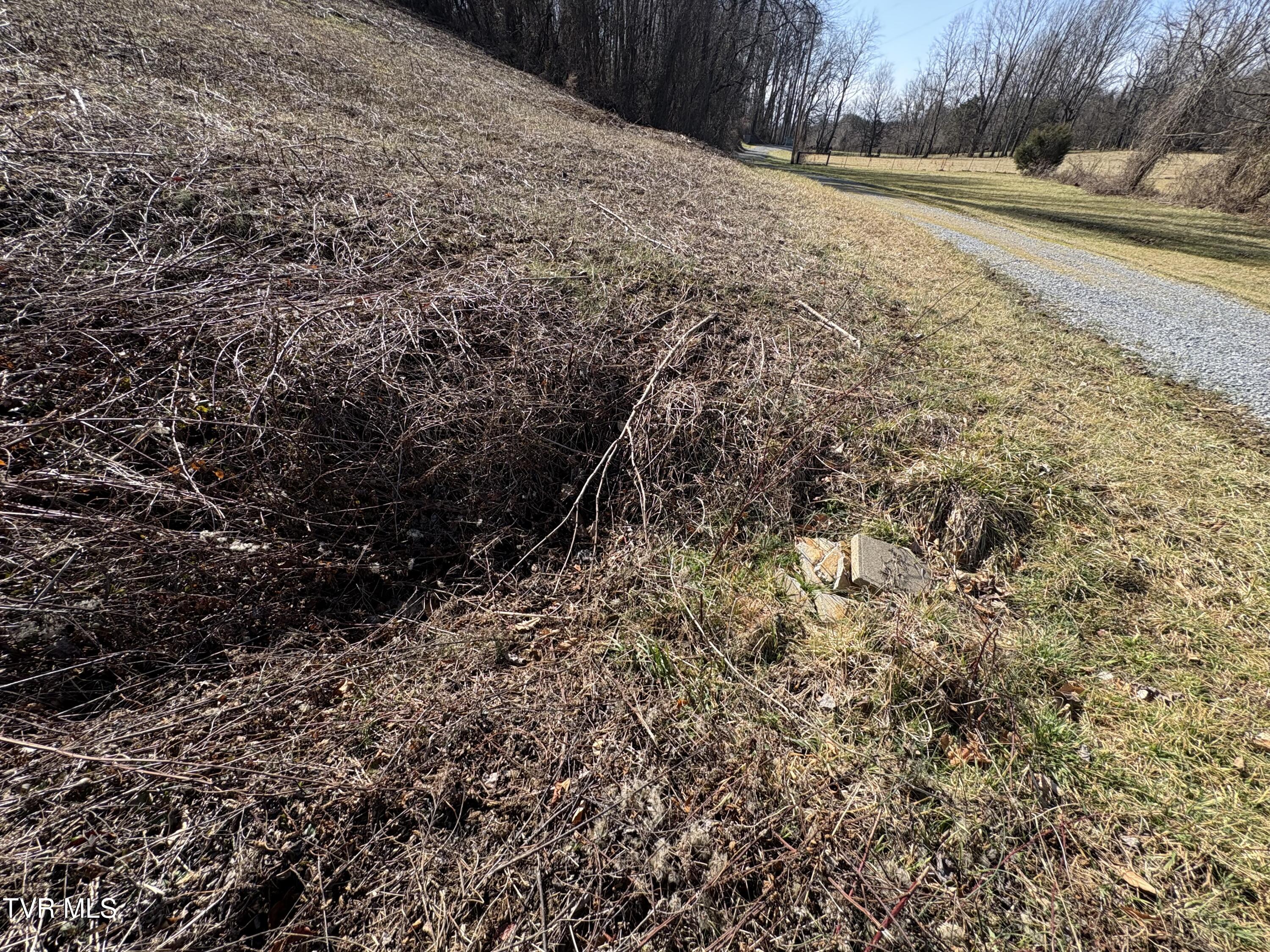Sunny Slopes Drive, Jonesborough, Tennessee image 16