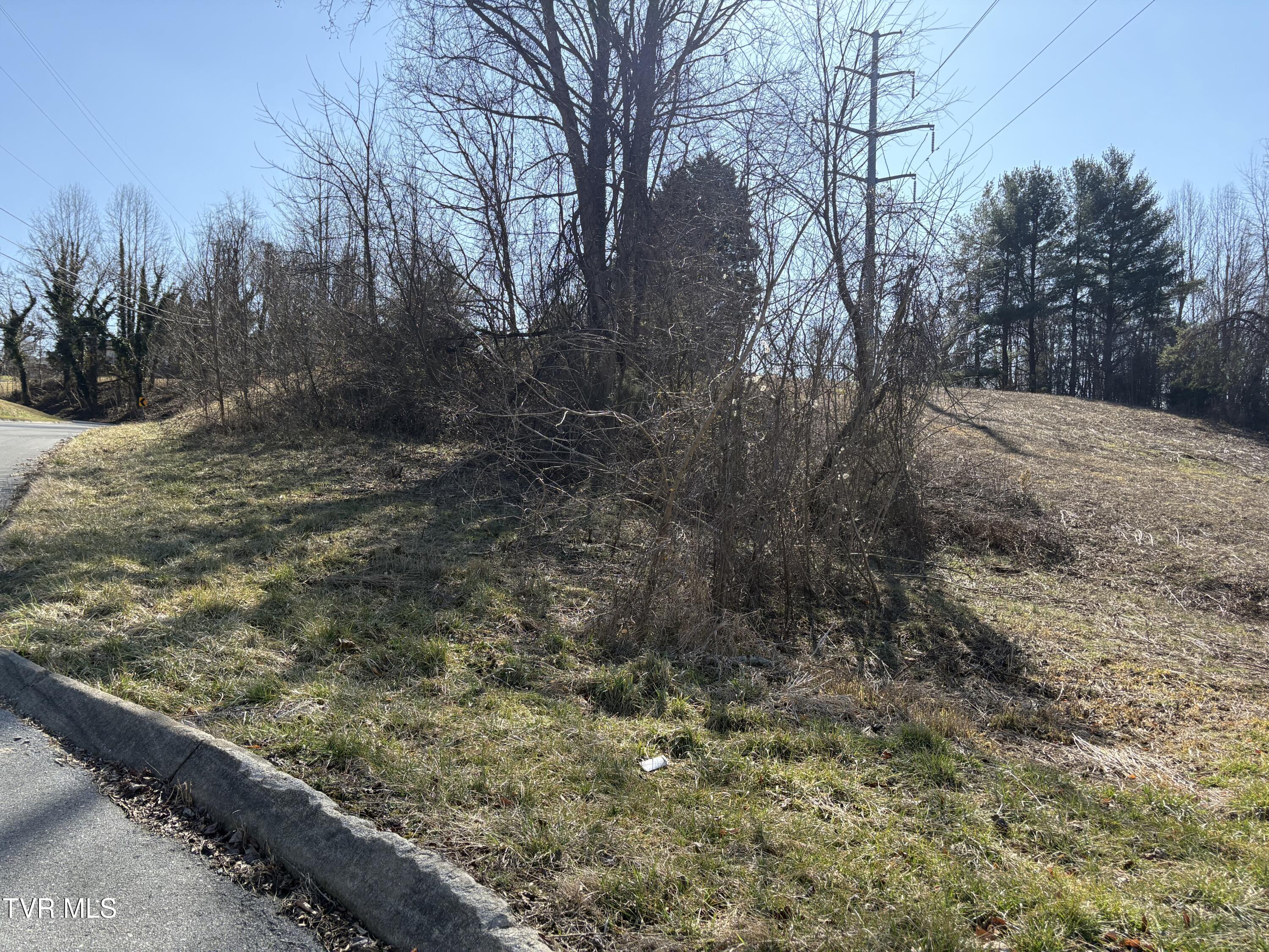 Sunny Slopes Drive, Jonesborough, Tennessee image 11