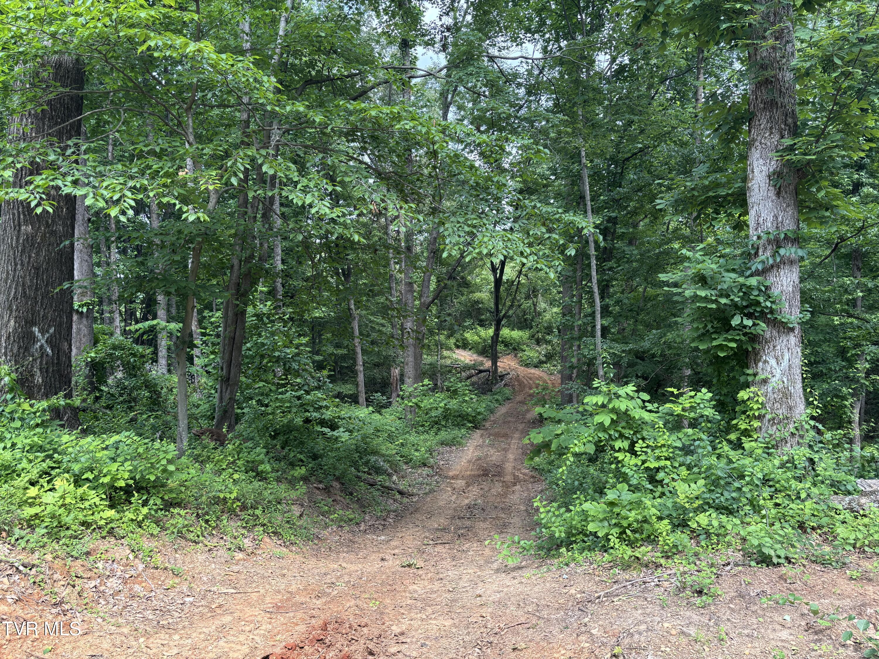 Tbd Buffalo Road, Johnson City, Tennessee image 3