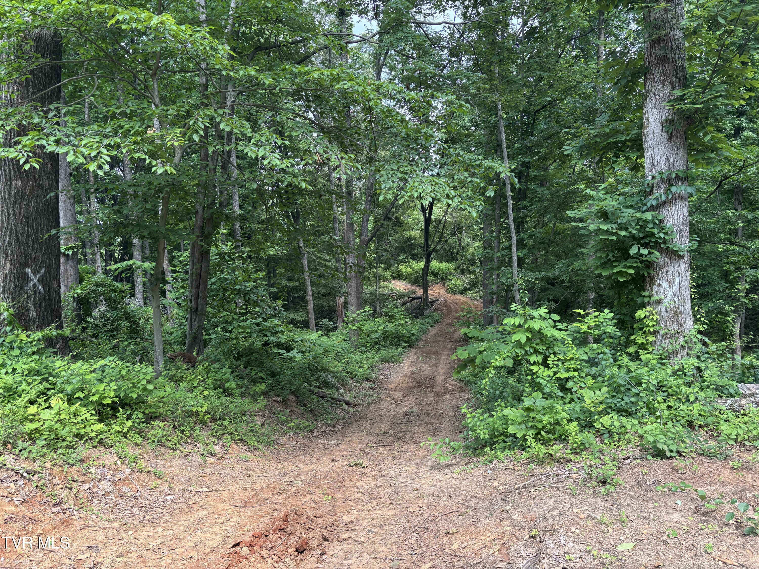 Tbd Buffalo Road, Johnson City, Tennessee image 6