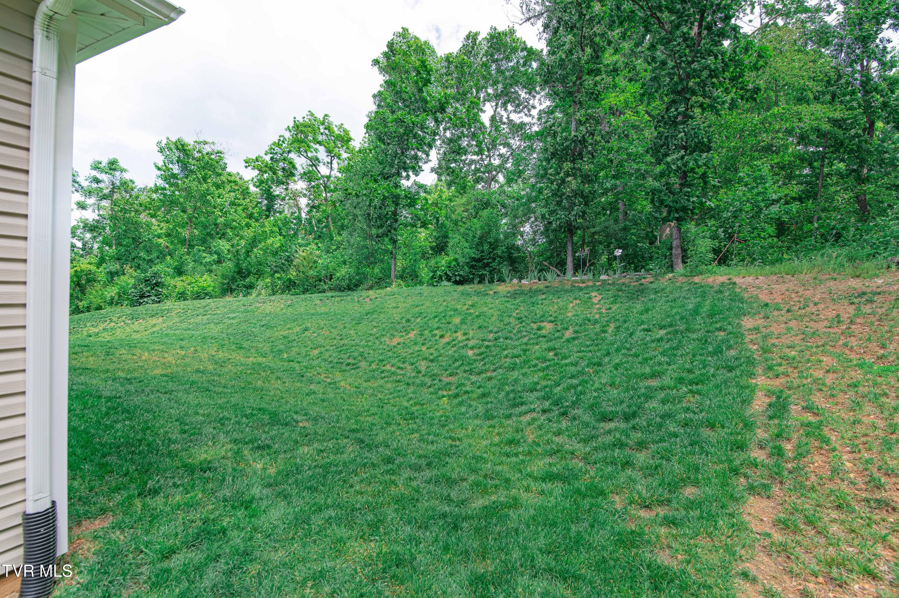 548 Cliff Street, Morristown, Tennessee image 44