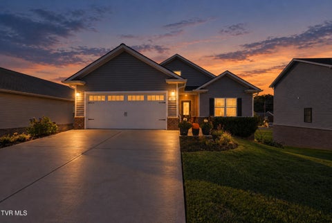 Photo of 23 Palmetto Court, Gray, TN 37615 (MLS # 10002389)