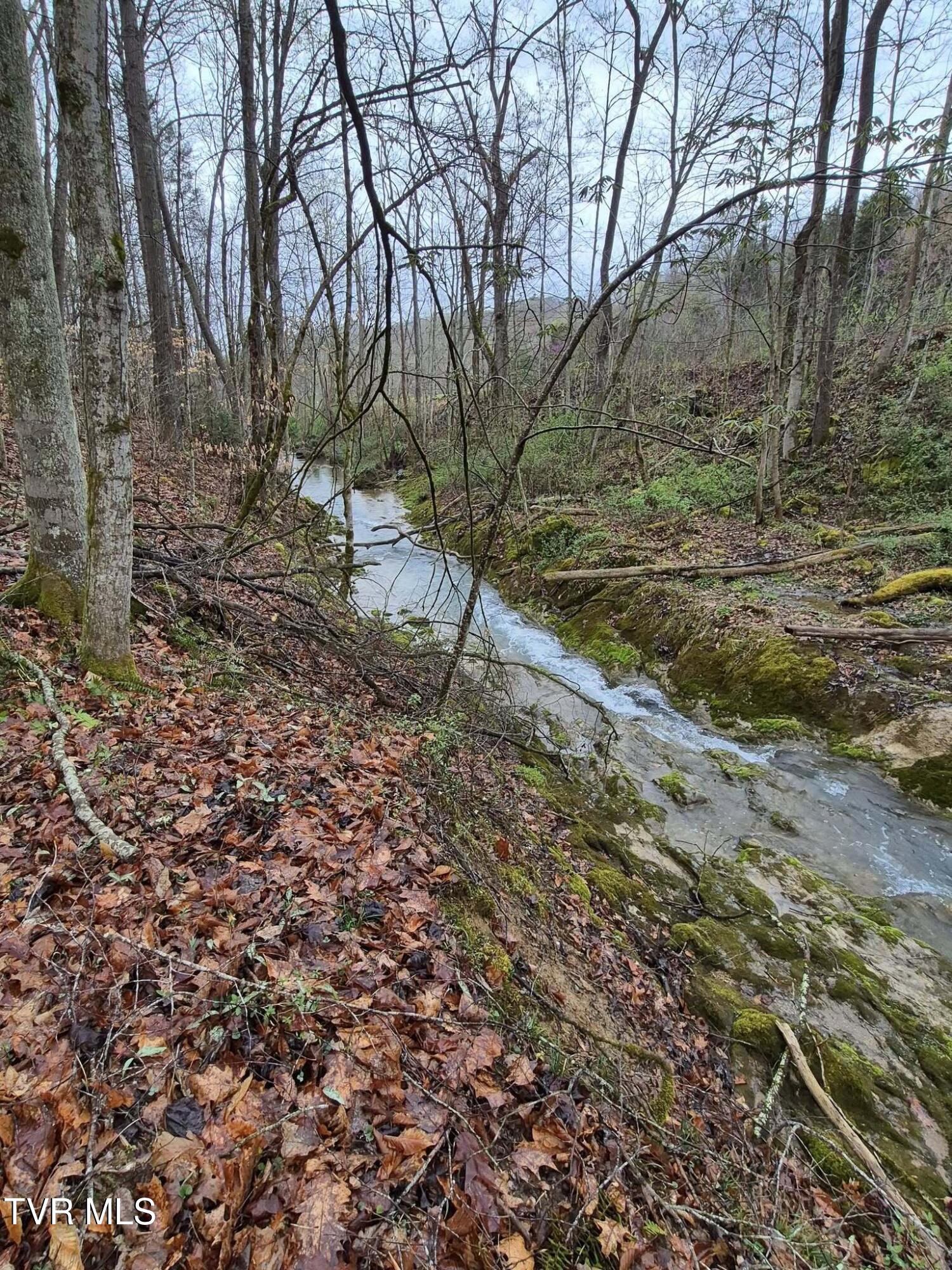 4020 Hwy 11, Blountville, Tennessee image 4