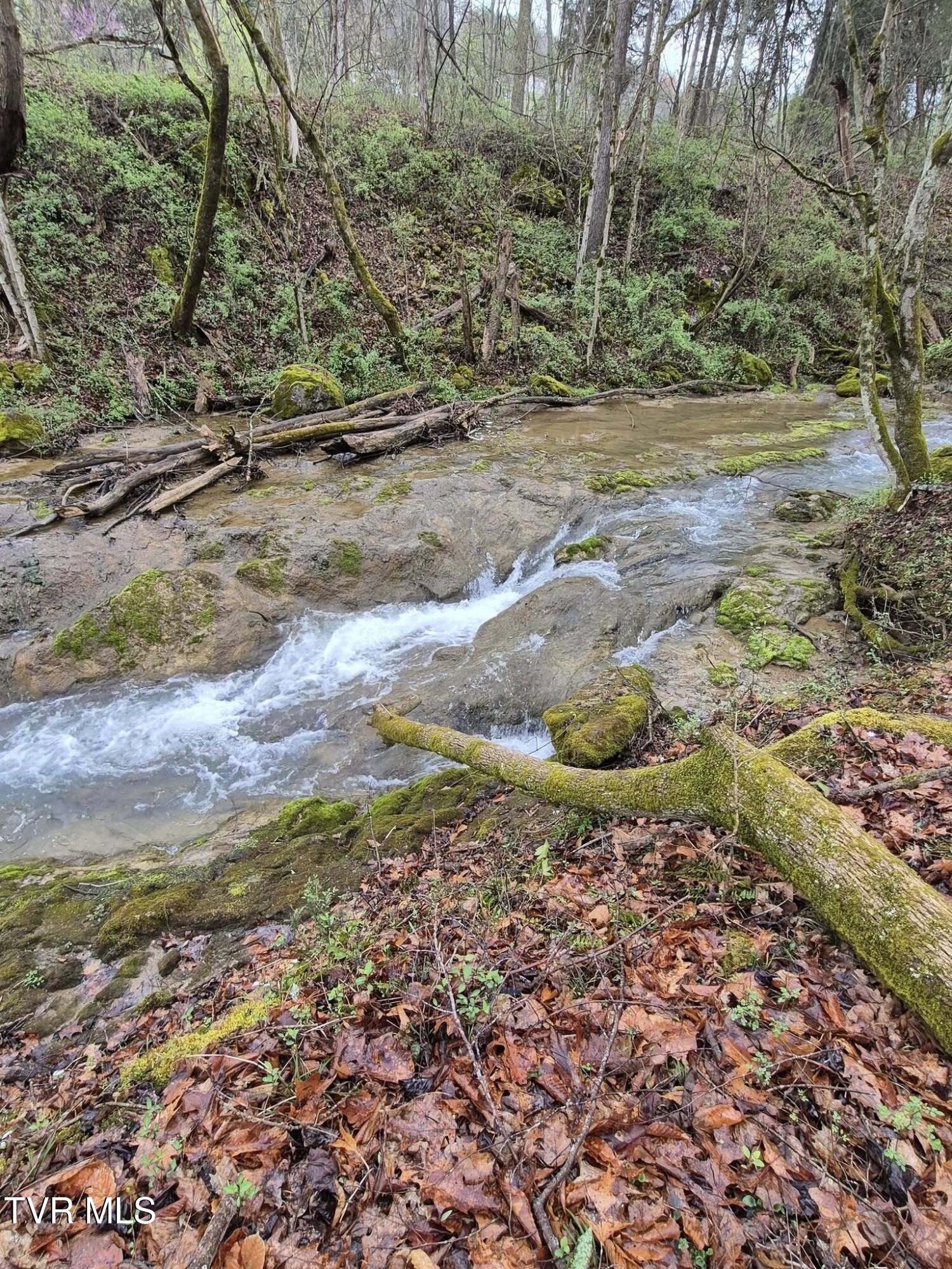 4020 Hwy 11, Blountville, Tennessee image 17