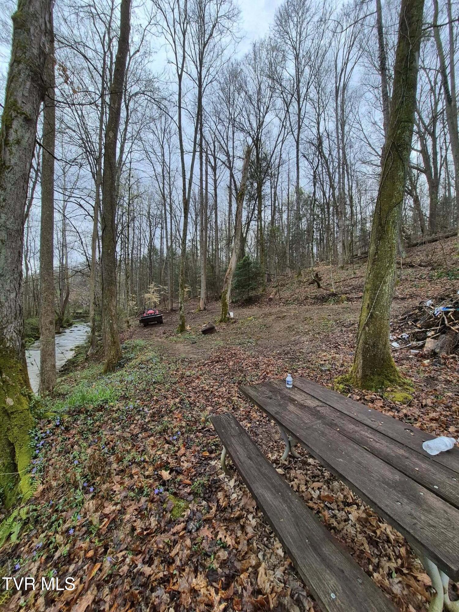 4020 Hwy 11, Blountville, Tennessee image 5