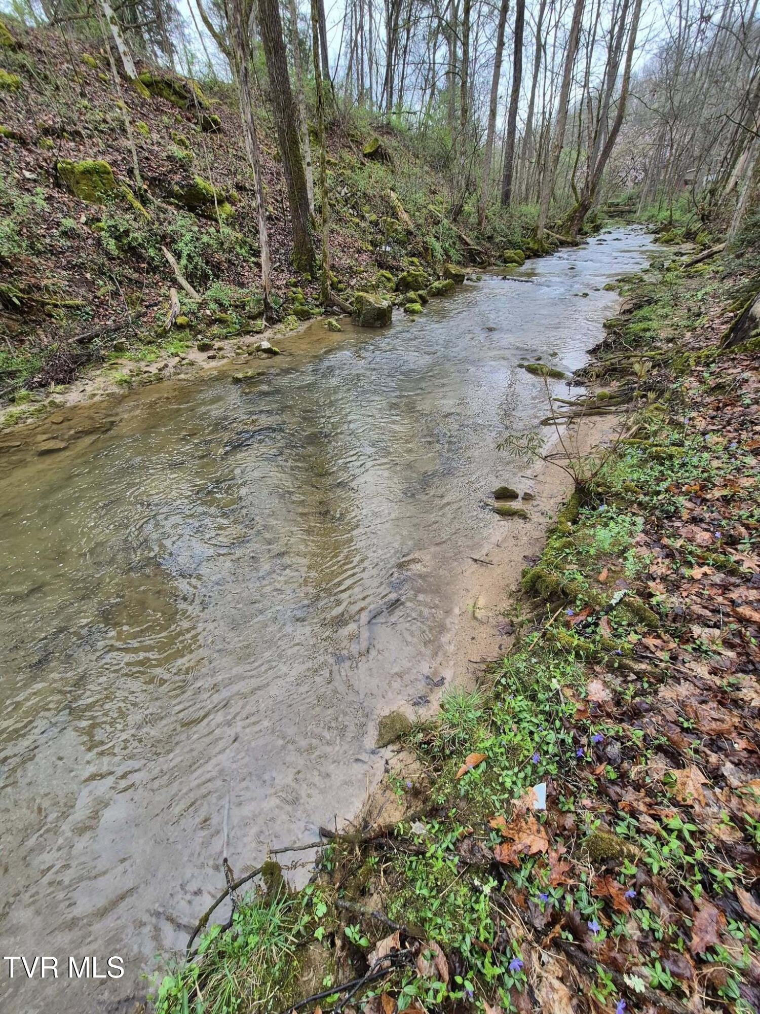 4020 Hwy 11, Blountville, Tennessee image 18