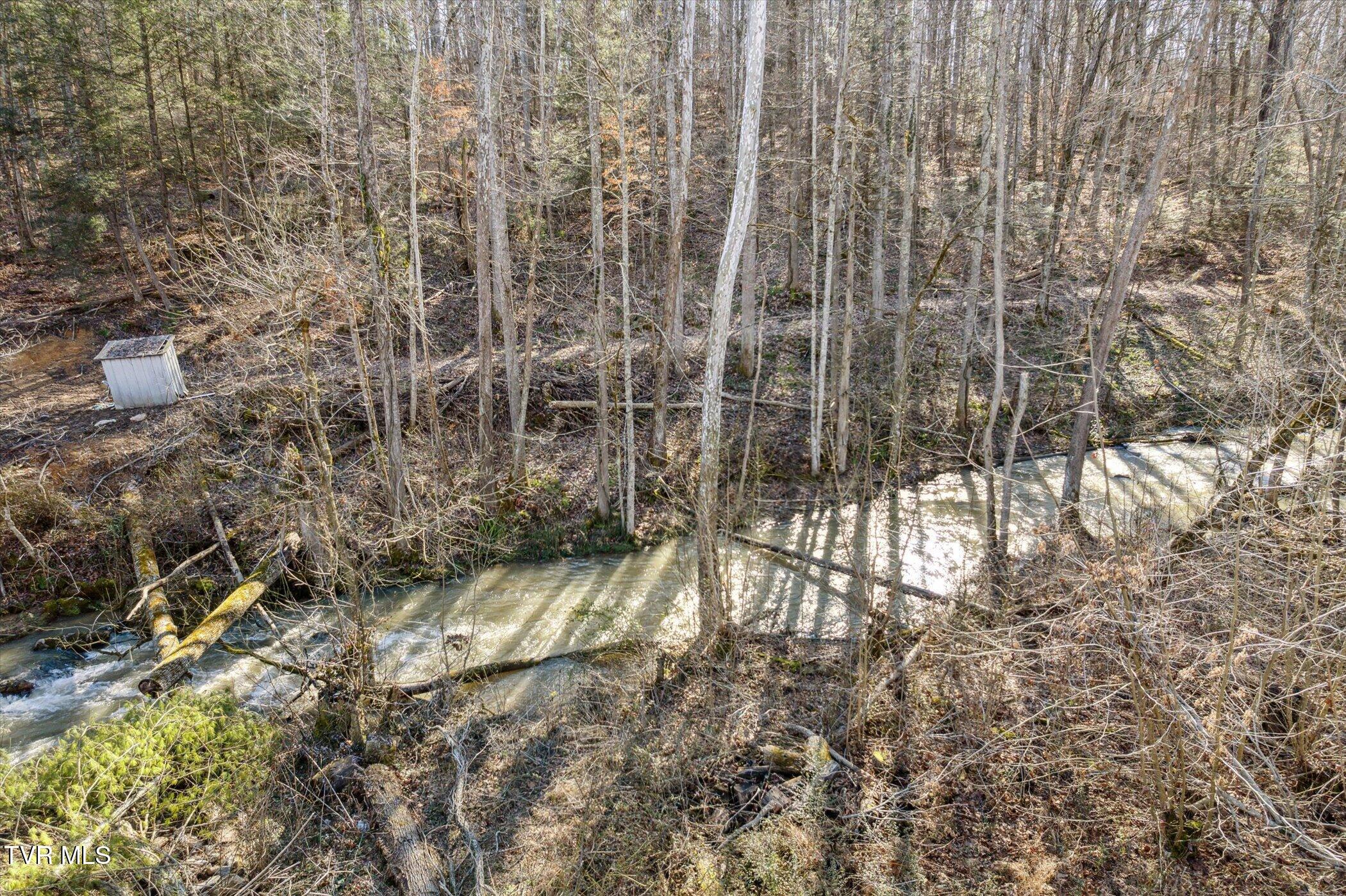 4020 Hwy 11, Blountville, Tennessee image 2