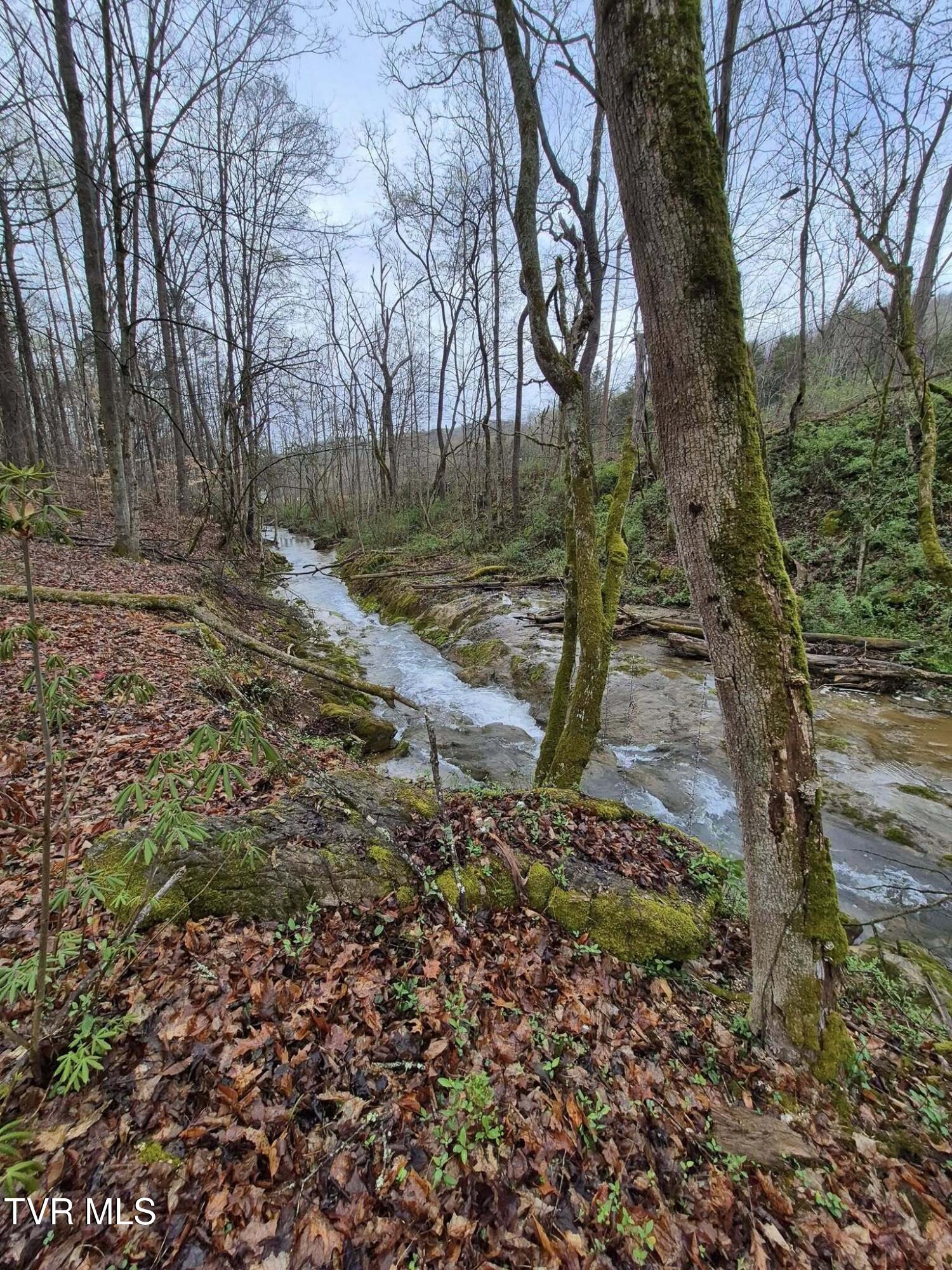 4020 Hwy 11, Blountville, Tennessee image 6