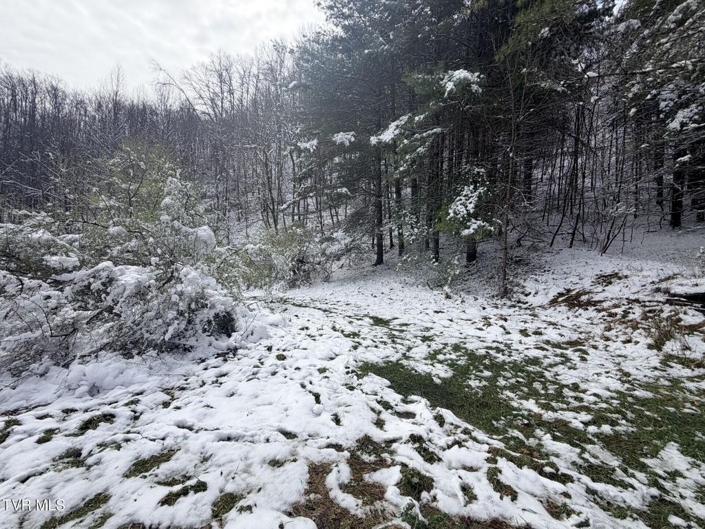 Photo of Tbd Power House Hollow, Clintwood, VA 24228 (MLS # 9992657)