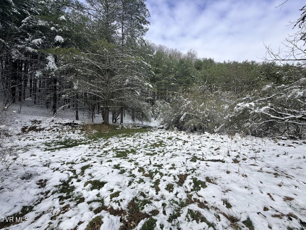 Photo of Tbd Power House Hollow, Clintwood, VA 24228 (MLS # 9992657)