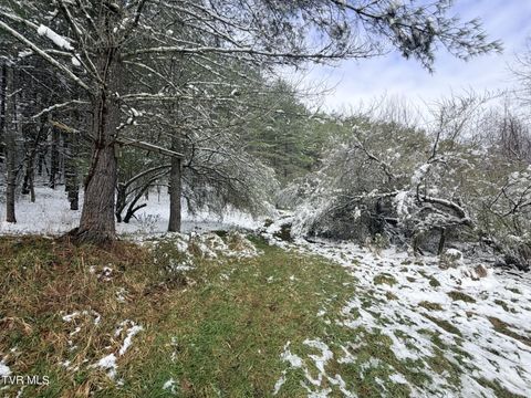 Vacant Land For Sale - TBD Power House Hollow<br/> Dickenson County, Clintwood, VA 24228