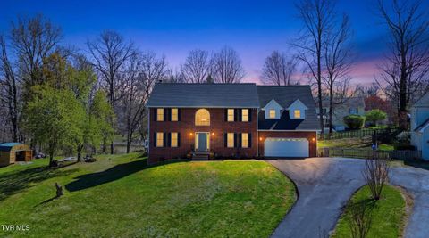 Photo of 124 Lazy Lane, Gray, TN 37615 (MLS # 9993223)