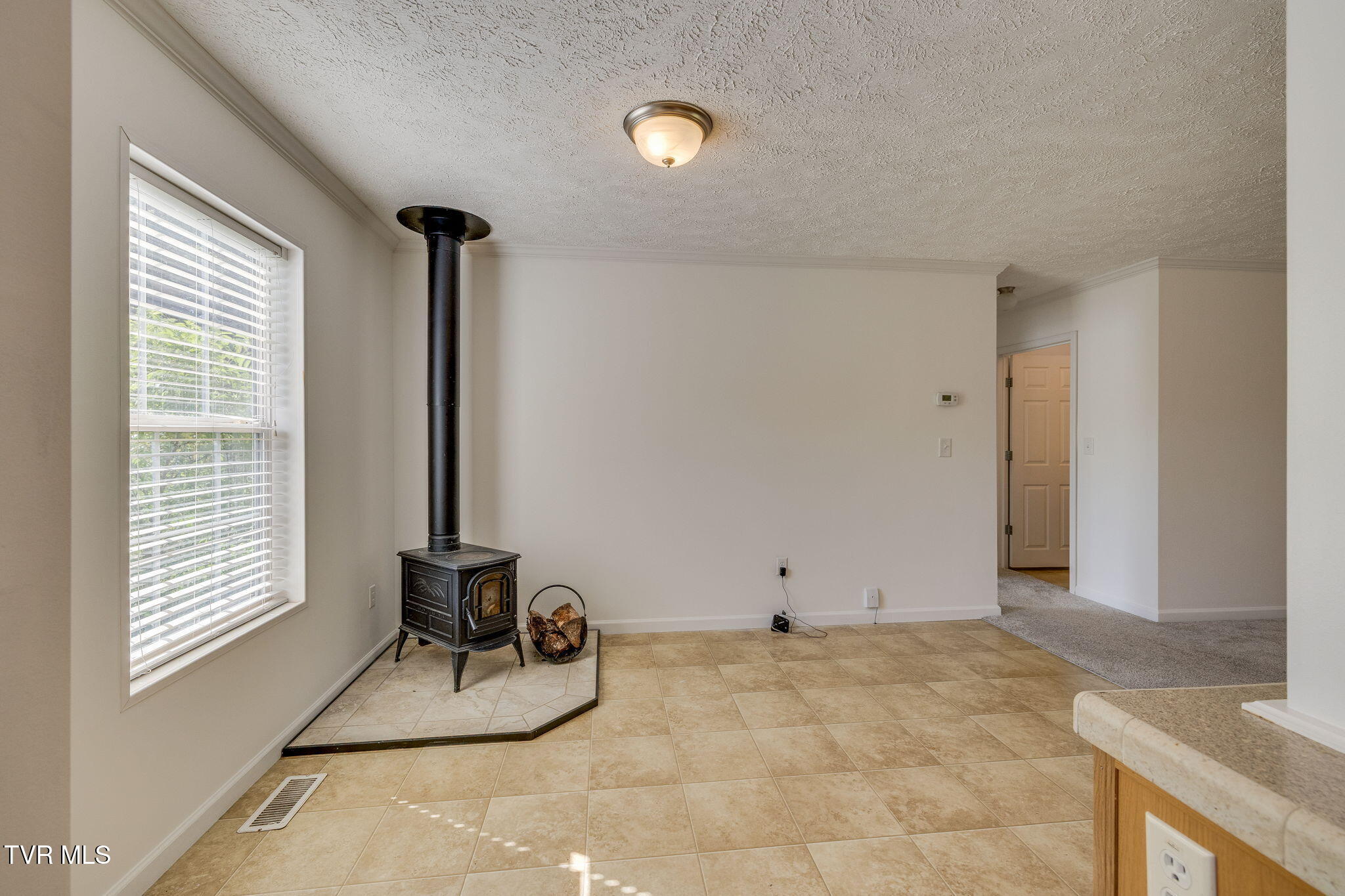 108 Richards Road, Rogersville, Tennessee image 11