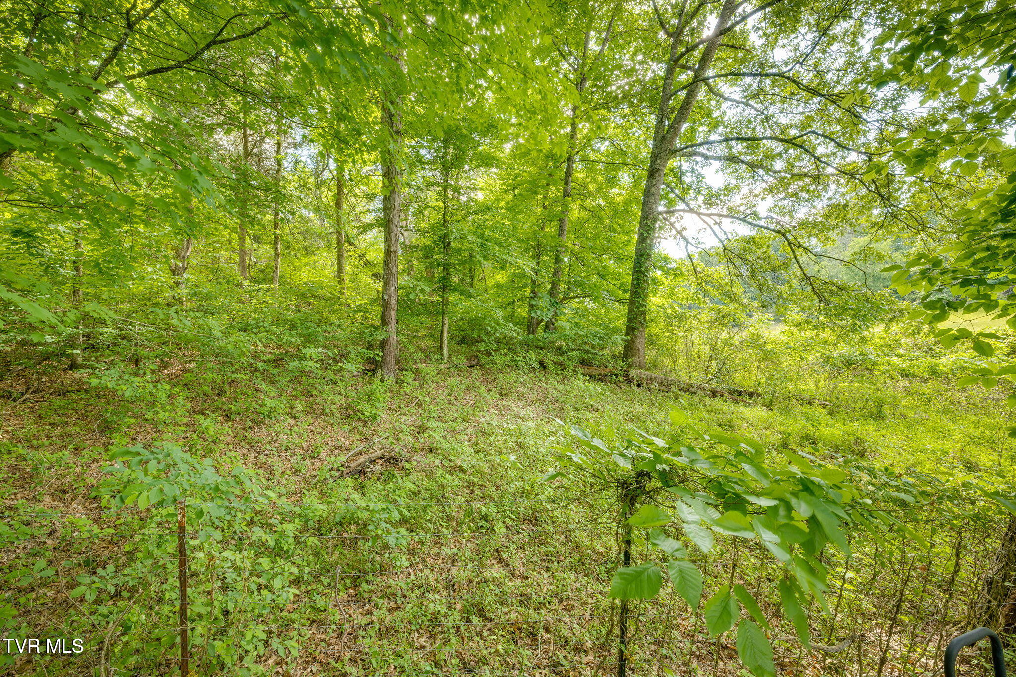 108 Richards Road, Rogersville, Tennessee image 36