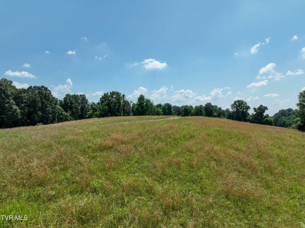 Photo of 1 Devault Bridge Road, Piney Flats, TN 37686 (MLS # 9992457)