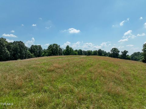 Vacant Land For Sale - LOT 1 Devault Bridge Road<br/> Piney Flats, TN 37686