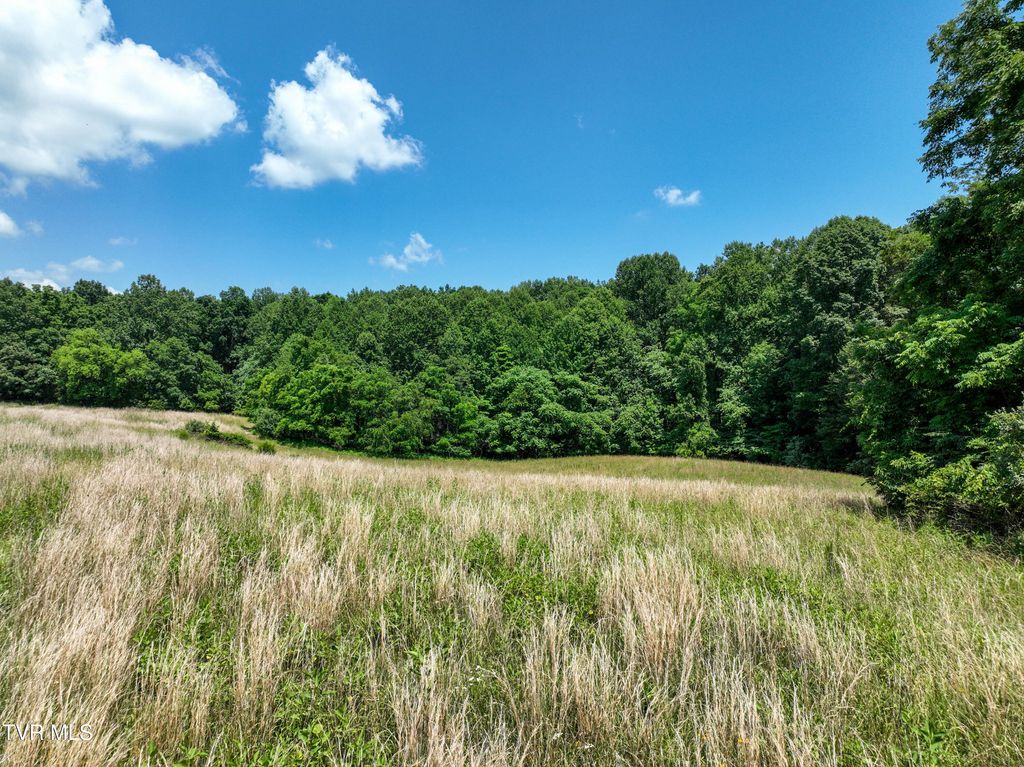 Photo of 1 Devault Bridge Road, Piney Flats, TN 37686 (MLS # 9992457)
