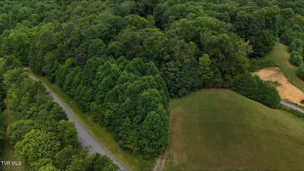 Photo of 125 Powder Hollow Road, Unicoi, TN 37692 (MLS # 9992803)