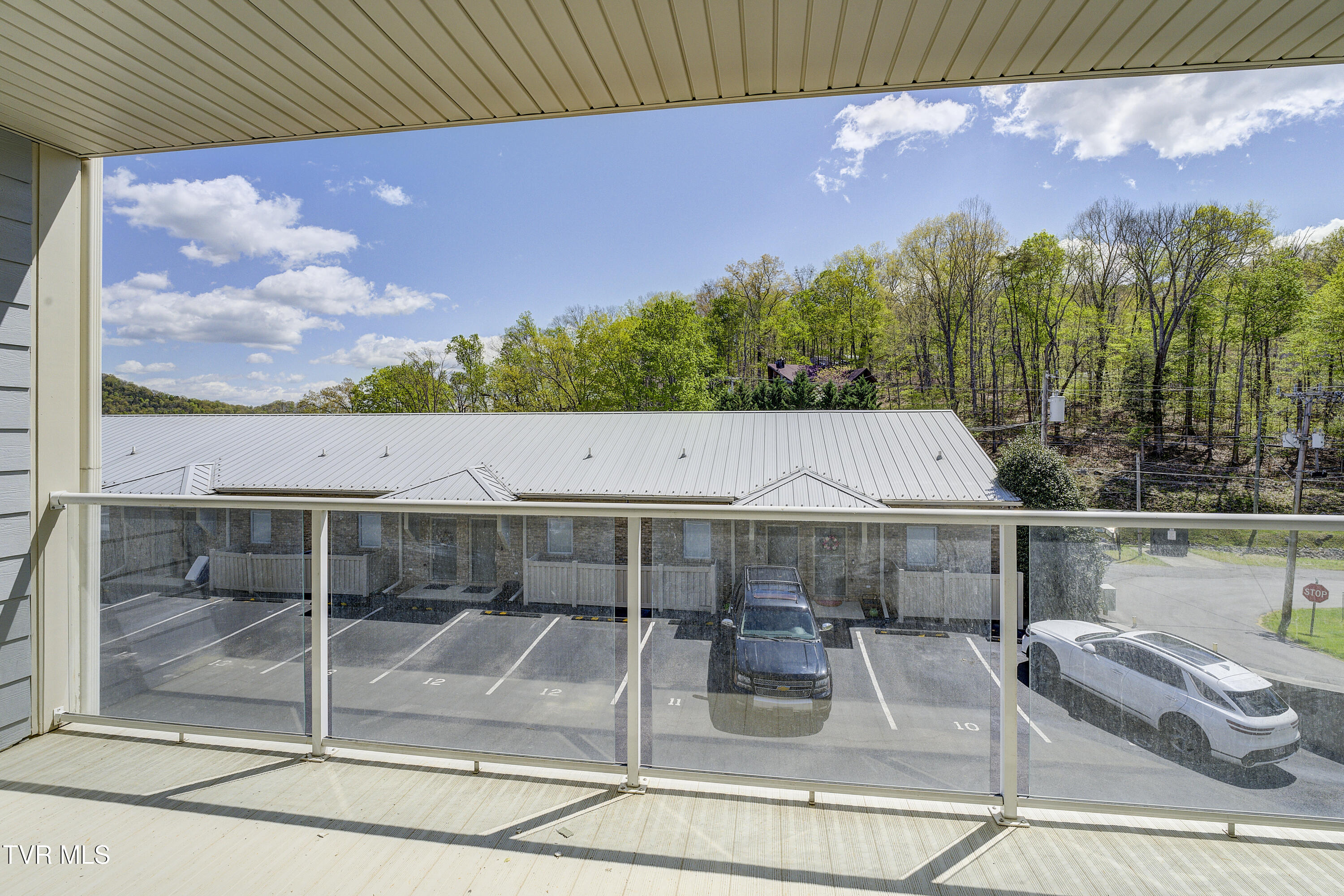 108 Furches Drive Dr #1, Johnson City, Tennessee image 50