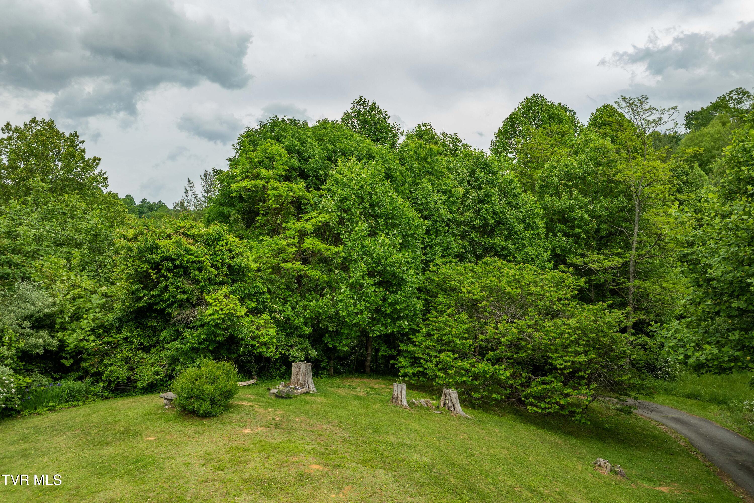 1546 Stage Road, Mountain City, Tennessee image 42
