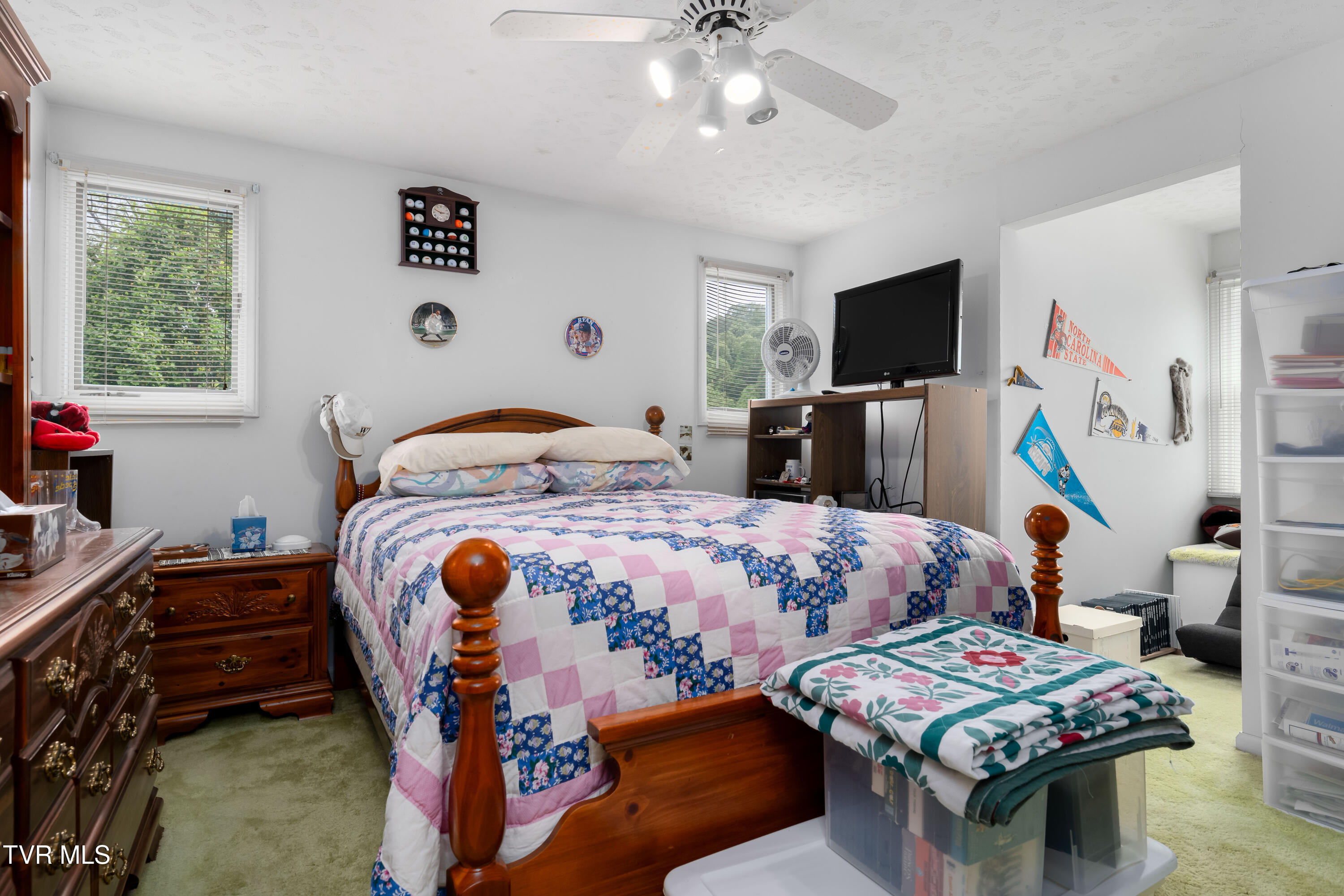 1546 Stage Road, Mountain City, Tennessee image 29