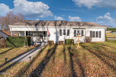 Photo of 101 Queen Street, Bristol, TN 37620 (MLS # 9988500)
