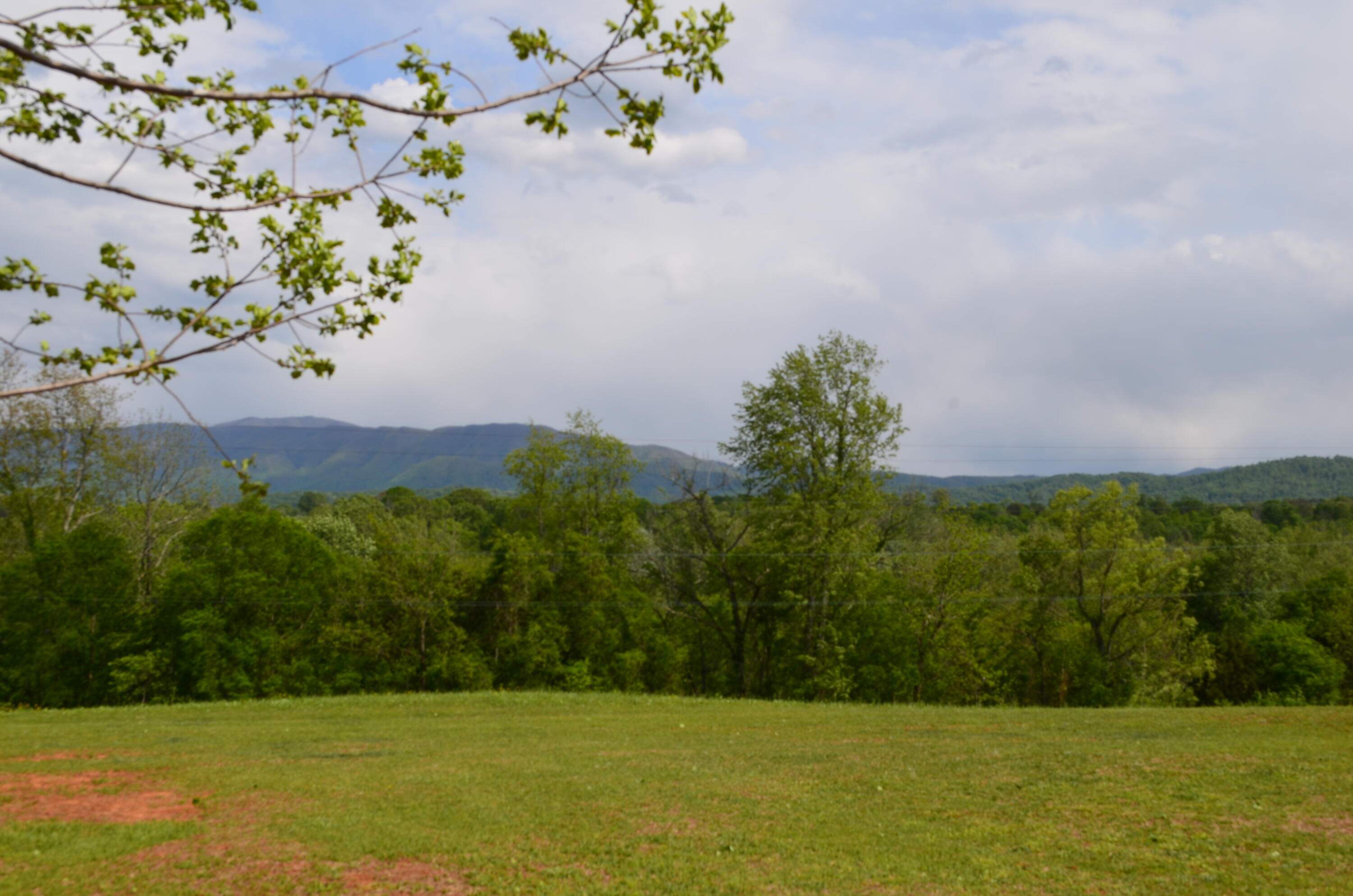 Lot 21 R Golf Villa Drive, Greeneville, Tennessee image 4