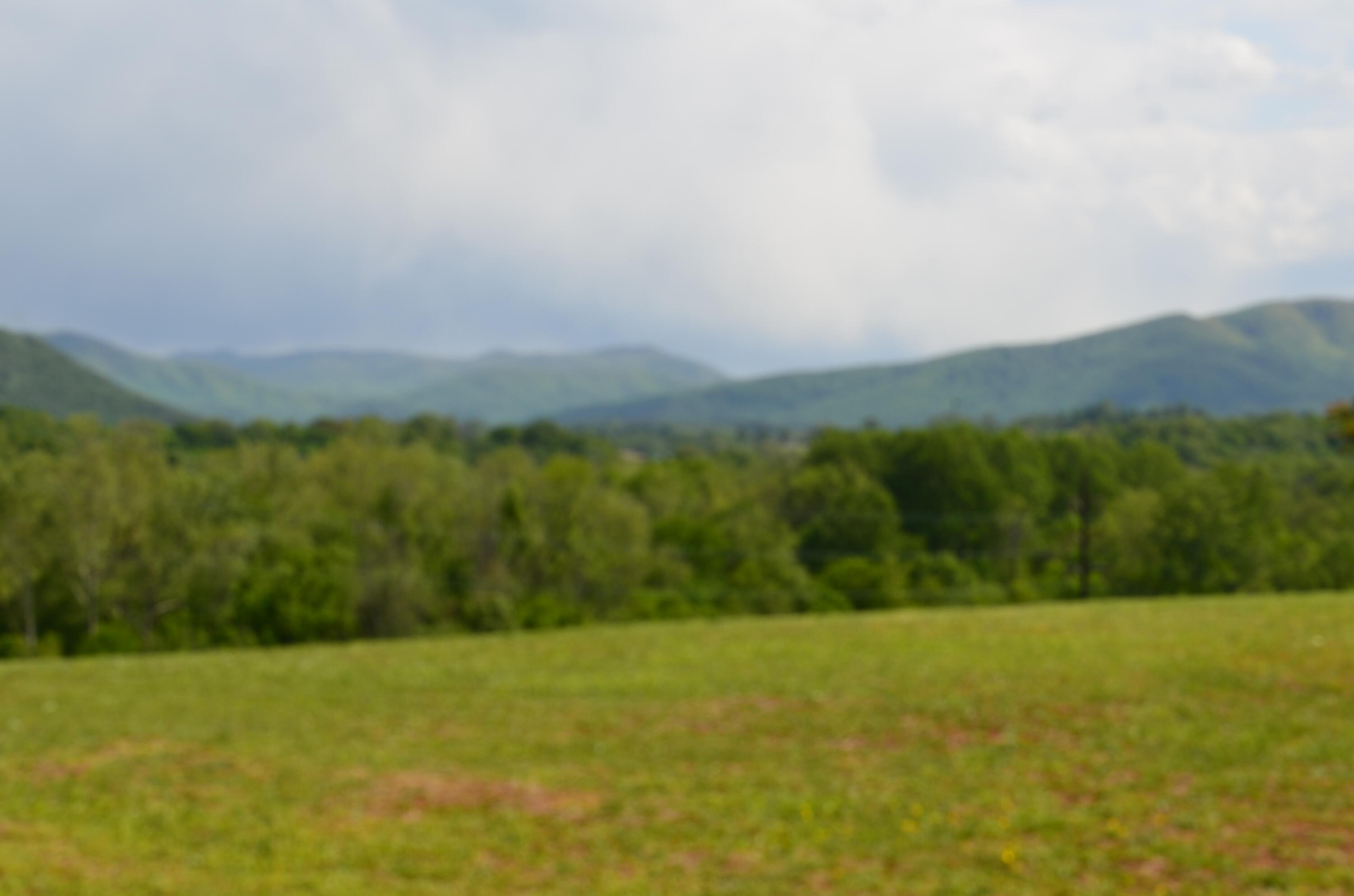 Lot 21 R Golf Villa Drive, Greeneville, Tennessee image 7